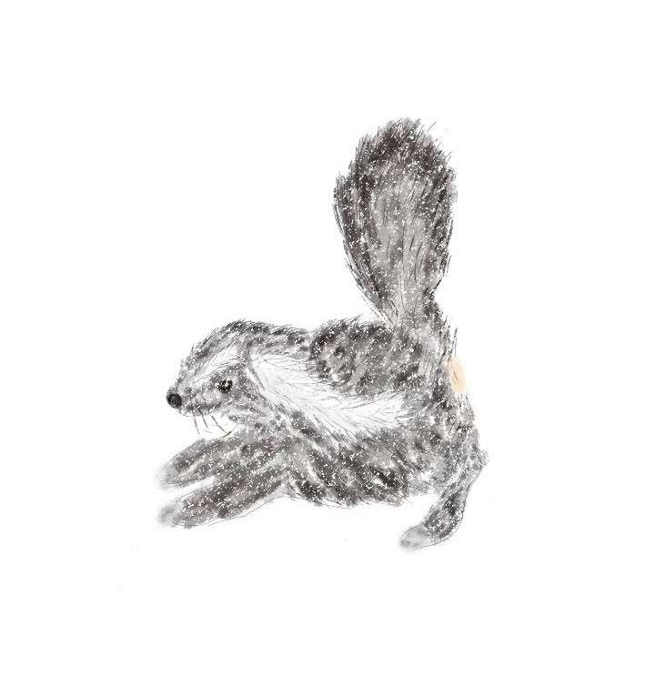 【お絵描き】絵しりとりしよう！【定期】