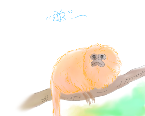 【お絵描き】絵しりとりしよう！【定期】