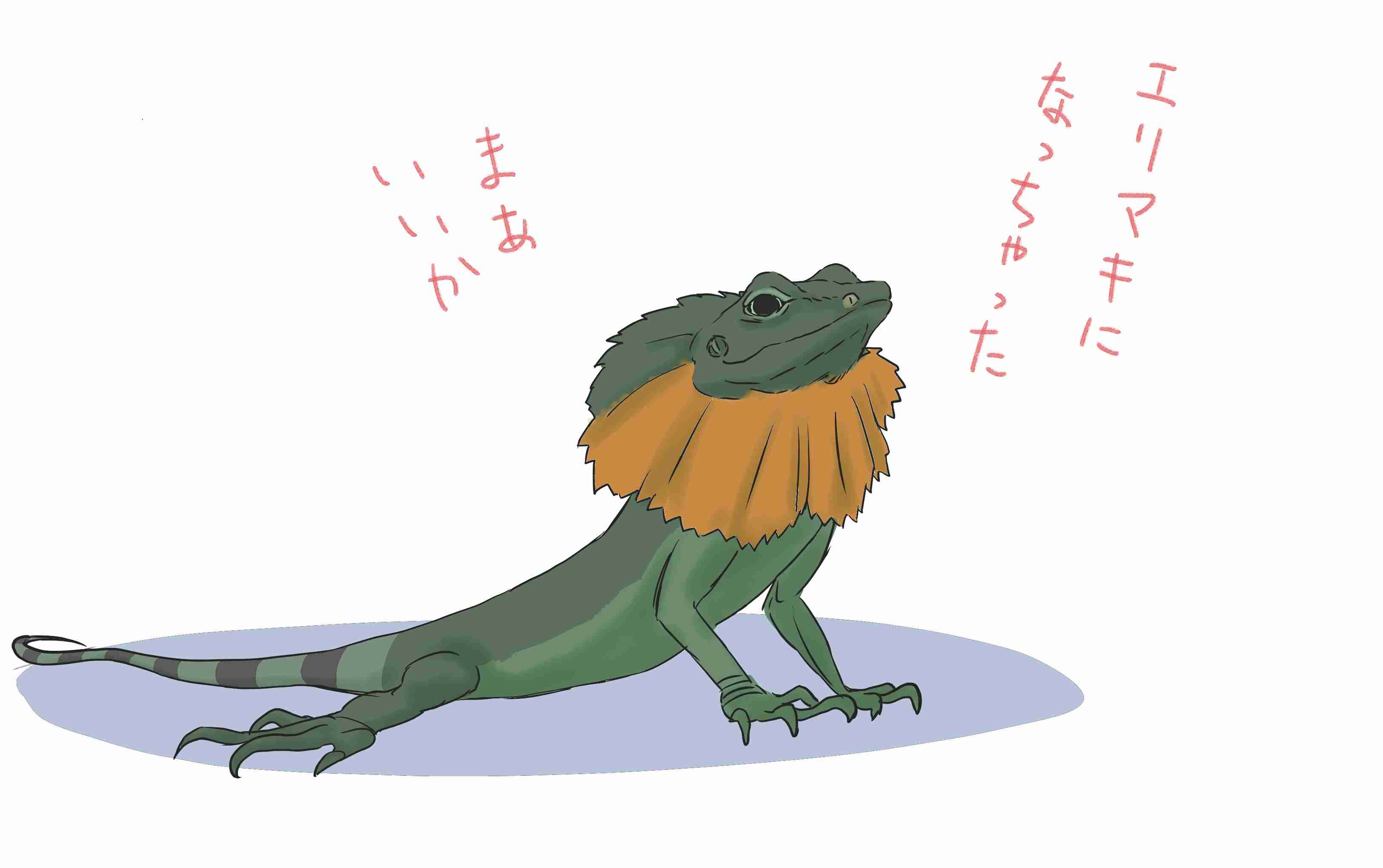 【お絵描き】絵しりとりしよう！【定期】