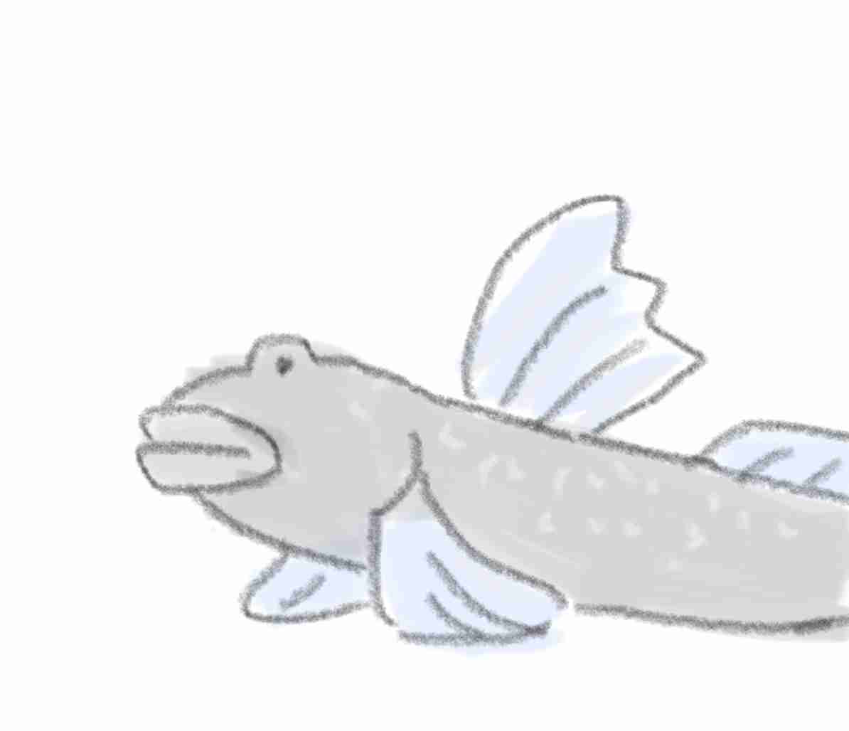 【お絵描き】絵しりとりしよう！【定期】