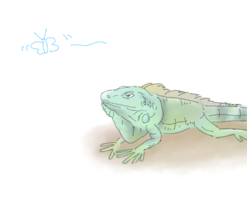 【お絵描き】絵しりとりしよう！【定期】