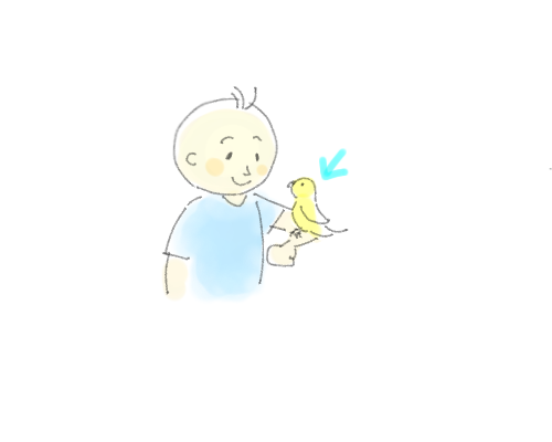 【お絵描き】絵しりとりしよう！【定期】