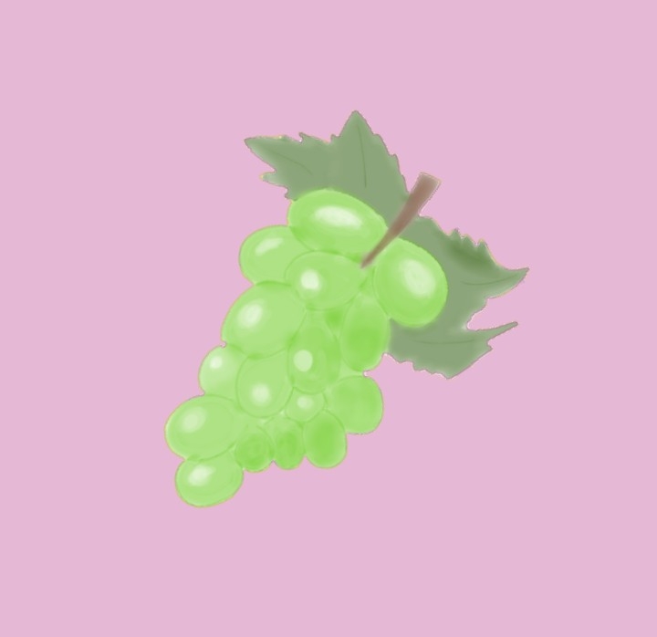 【お絵描き】絵しりとりしよう！【定期】