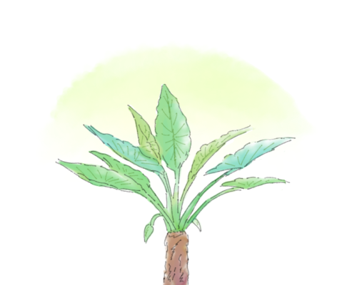 【お絵描き】絵しりとりしよう！【定期】