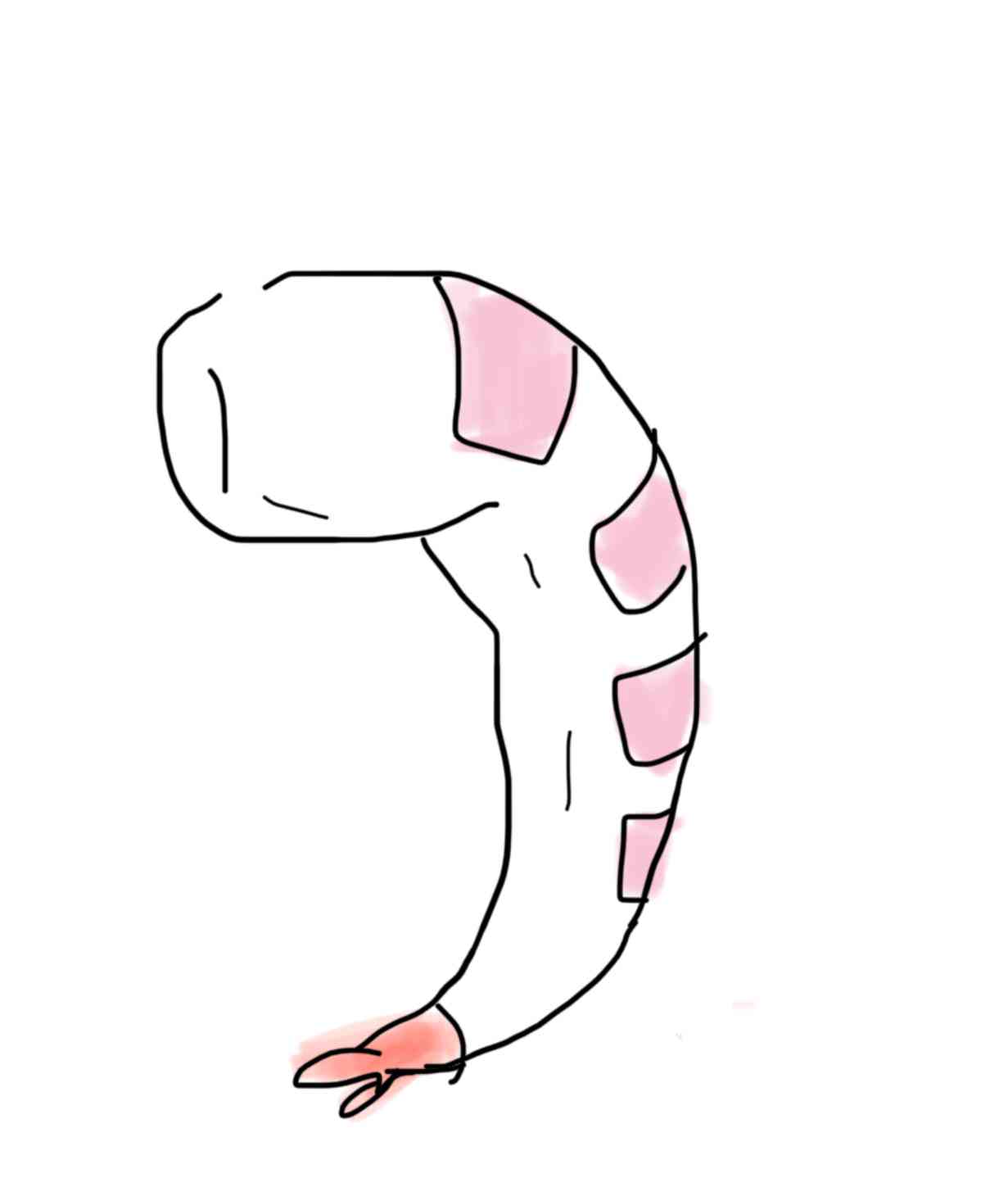 【お絵描き】絵しりとりしよう！【定期】