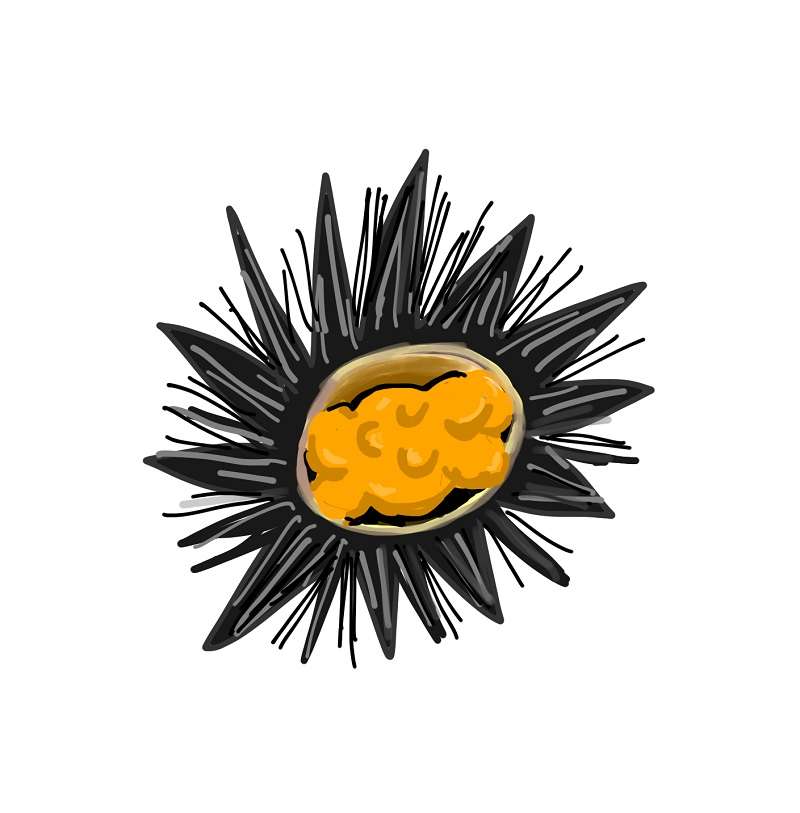 【お絵描き】絵しりとりしよう！【定期】