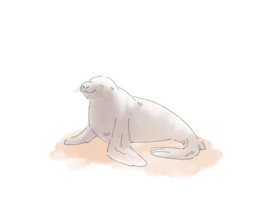 【お絵描き】絵しりとりしよう！【定期】