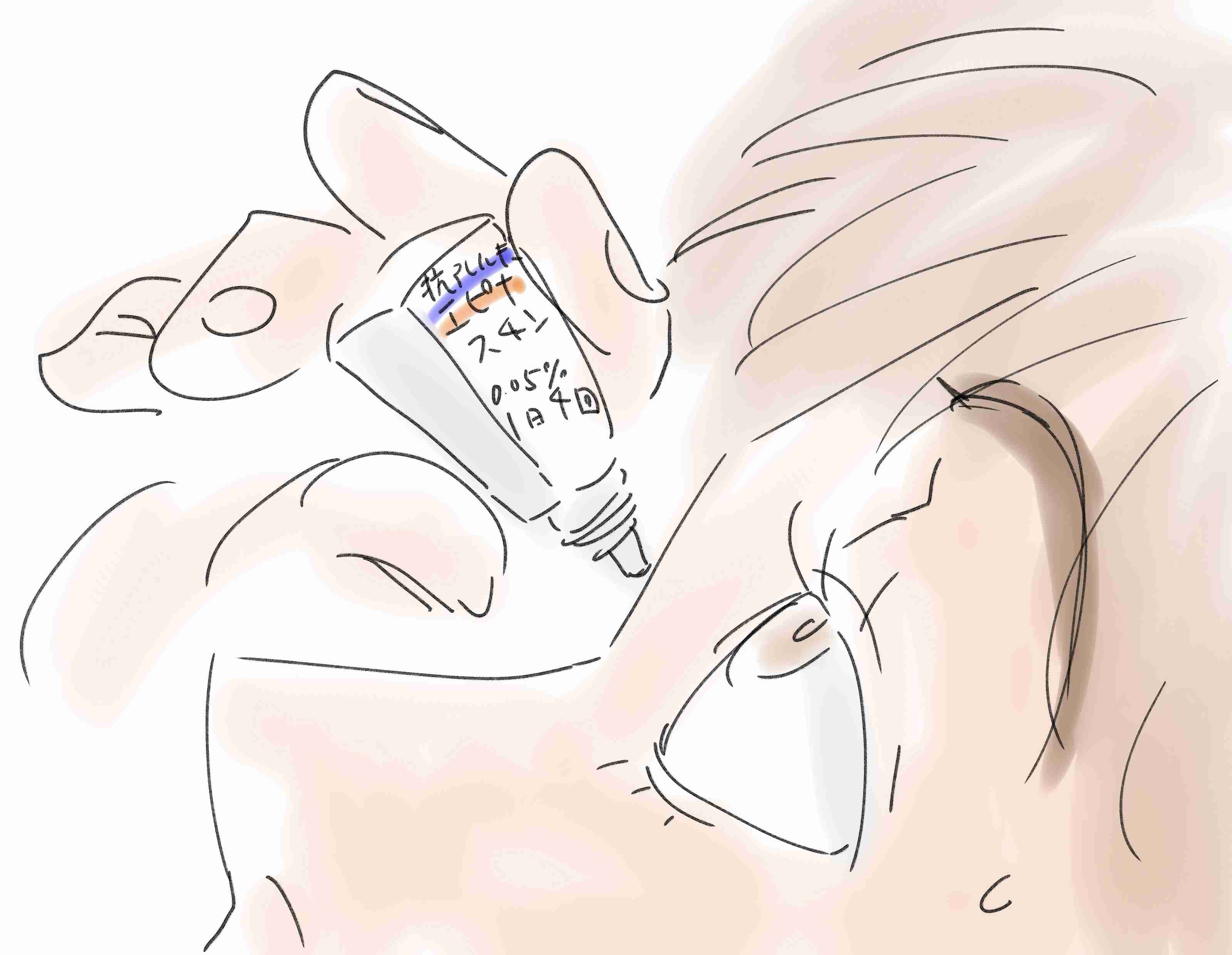 【お絵描き】絵しりとりしよう！【定期】
