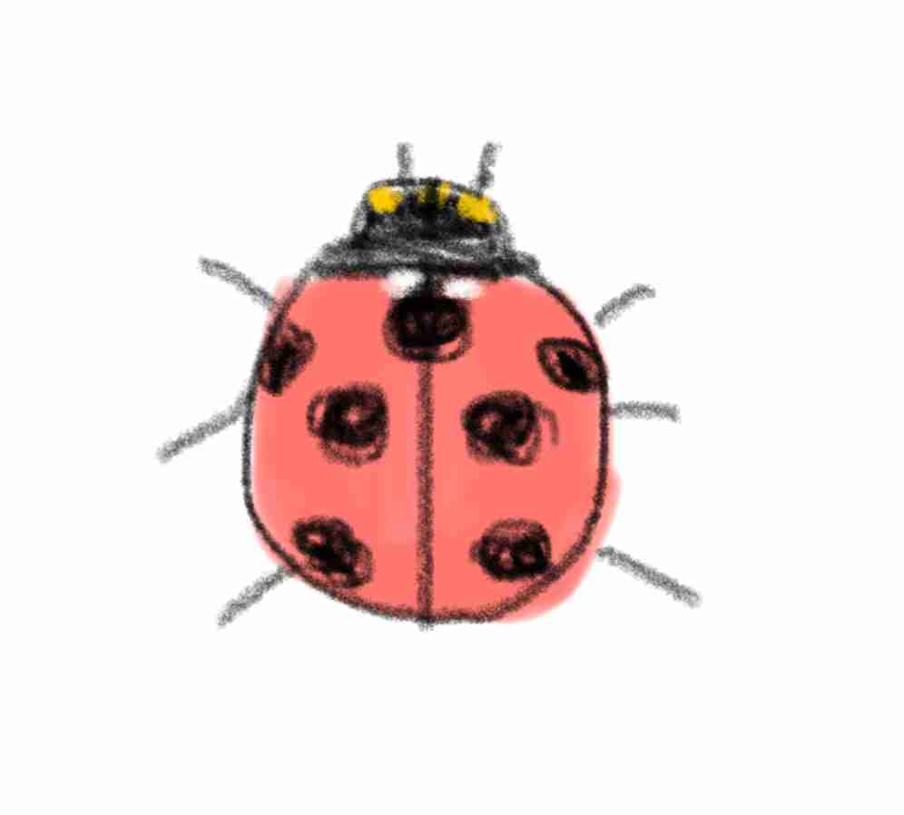 【お絵描き】絵しりとりしよう！【定期】