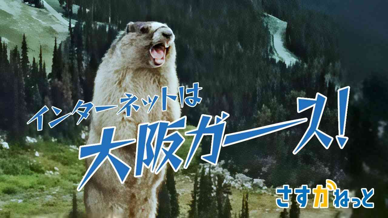 流れてると見ちゃうCM