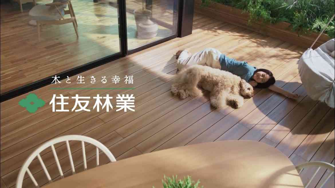 流れてると見ちゃうCM