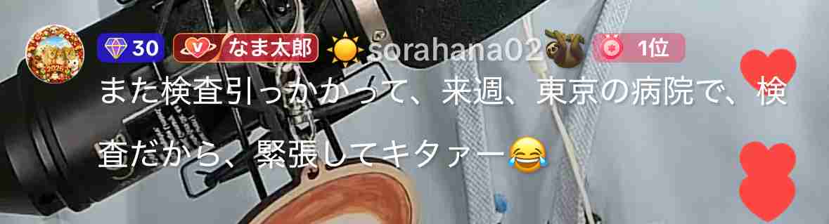 ひそかに見守っていること