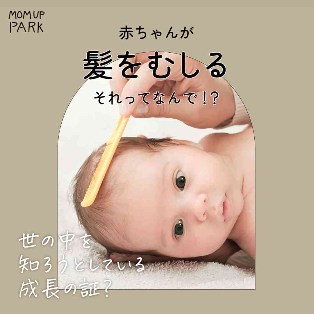 鼻で笑ってしまう