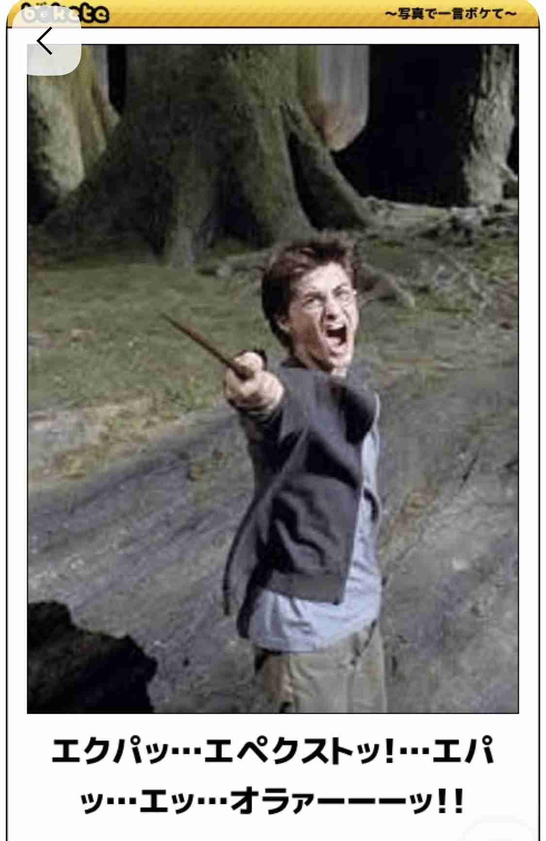 「ハリーポッターシリーズ」について知ってること