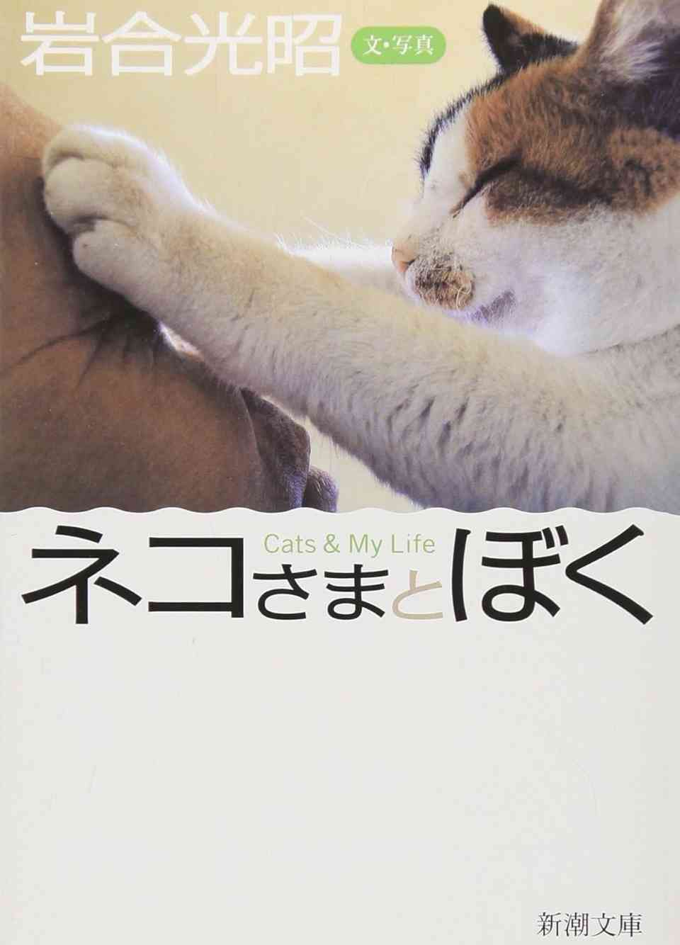 猫エッセイを語りたい