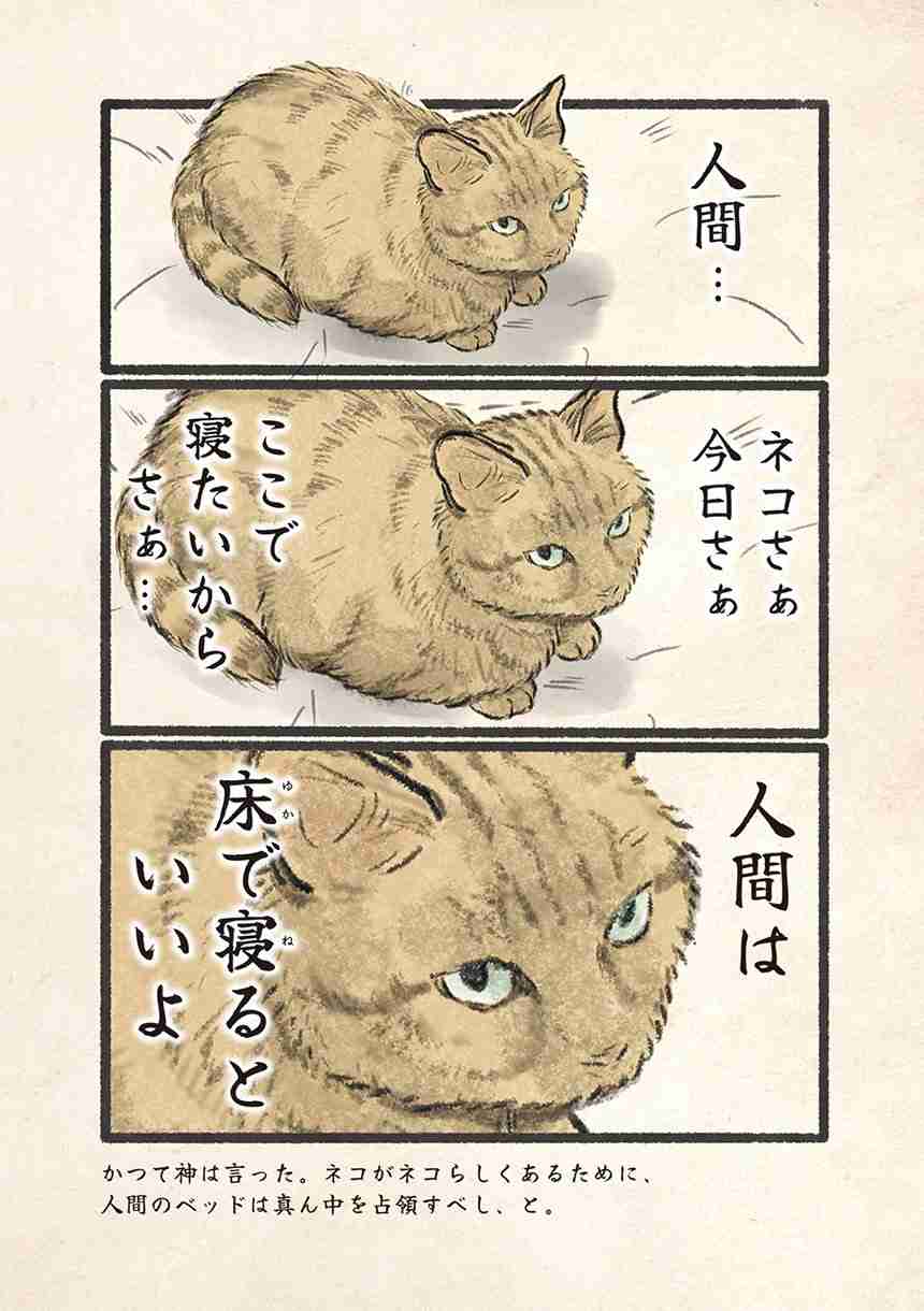 猫エッセイを語りたい