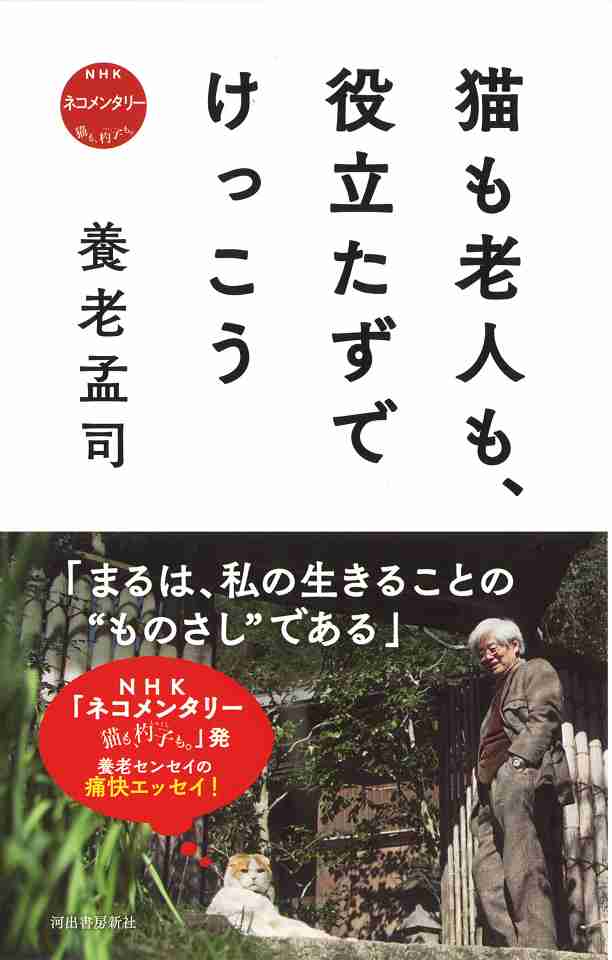 猫エッセイを語りたい