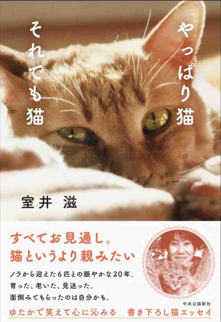 猫エッセイを語りたい