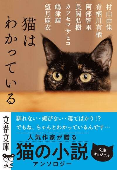 猫エッセイを語りたい