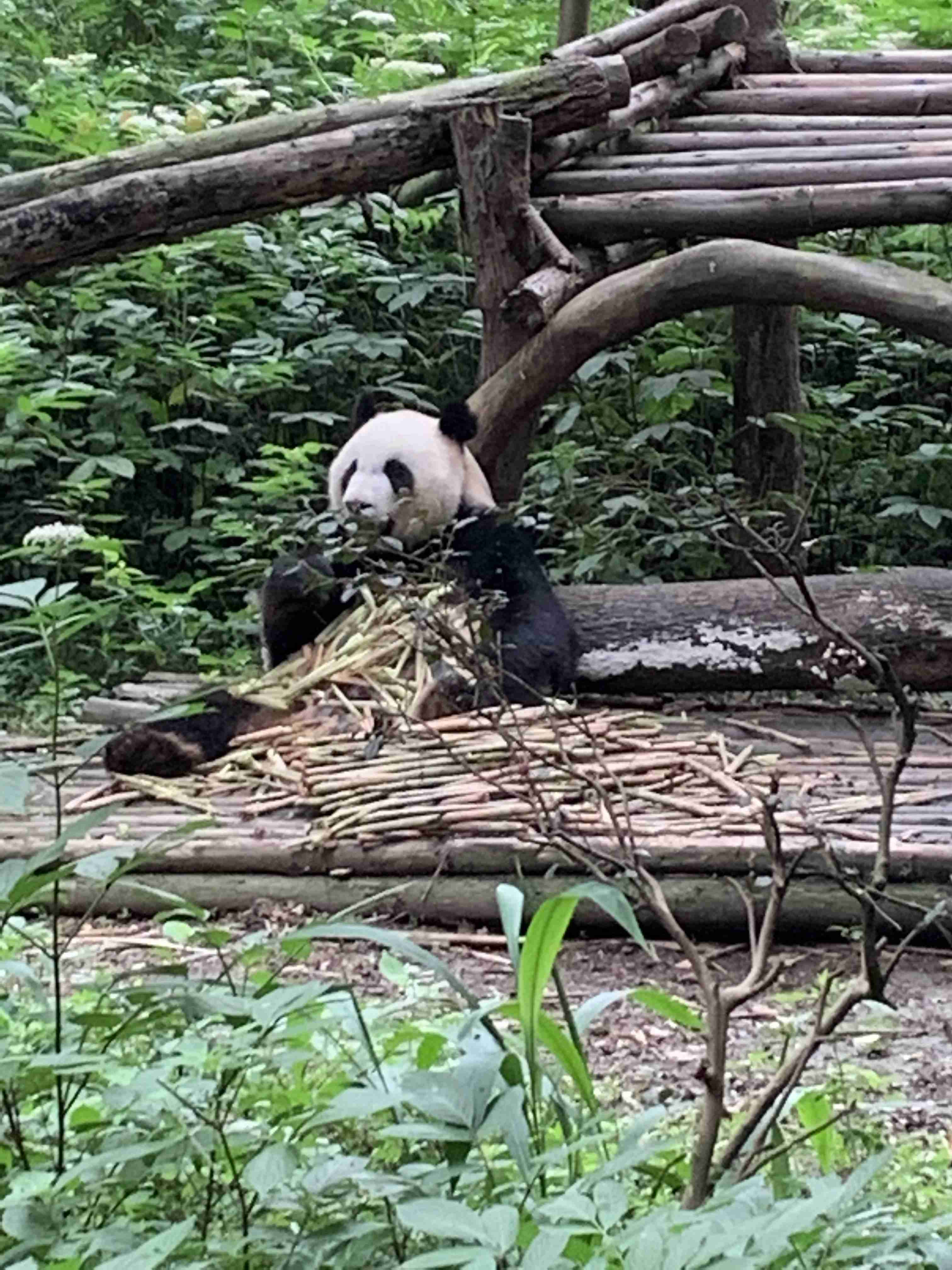 中国旅行のおすすめ•注意点