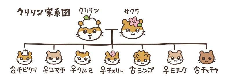 サンリオで好きなキャラクター