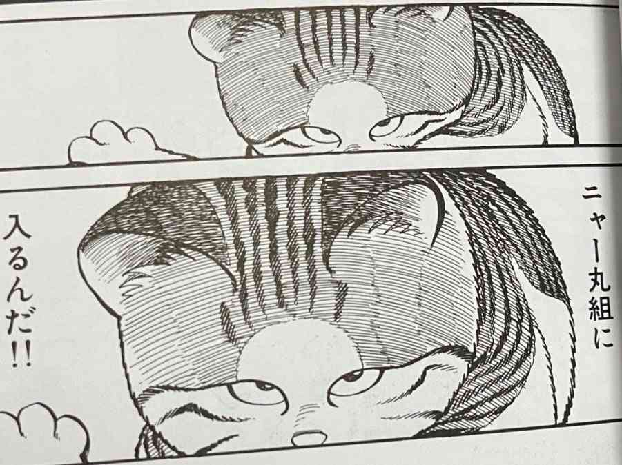 縄張り争いに敗れ行き場を失った“元ボス猫”…流れ着いた旅館で看板猫に転身！第二の猫生をつかんだ「おやかた」の物語