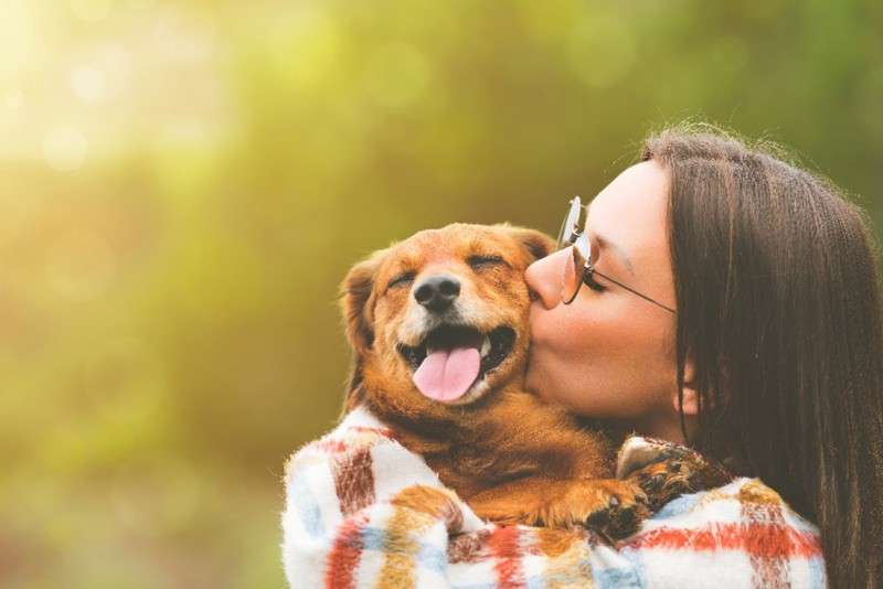 笑ってる犬の画像を見て幸せを感じようよ🐕️