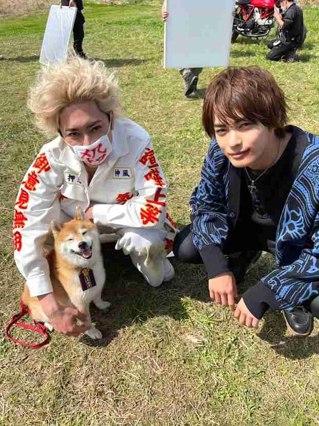 笑ってる犬の画像を見て幸せを感じようよ🐕️