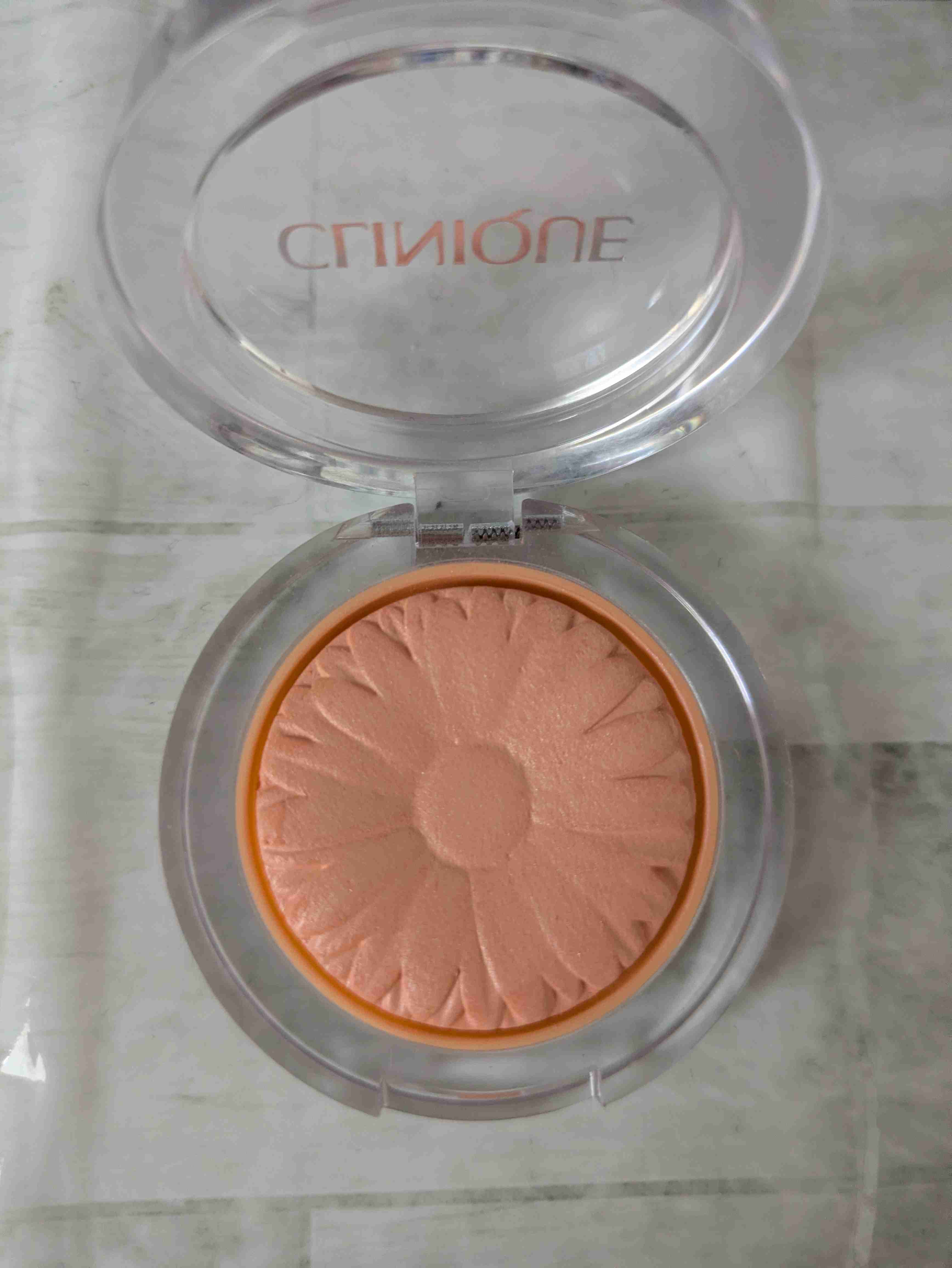 パーソナルカラーが合わなくても使えるかもしれないコスメ