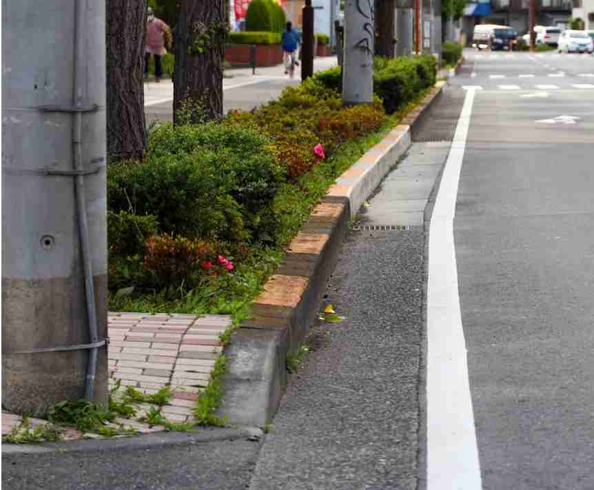 「道路の端を走らない自転車も規制しないと大渋滞…」43歳芸人“自転車追い抜き新制度”に苦言