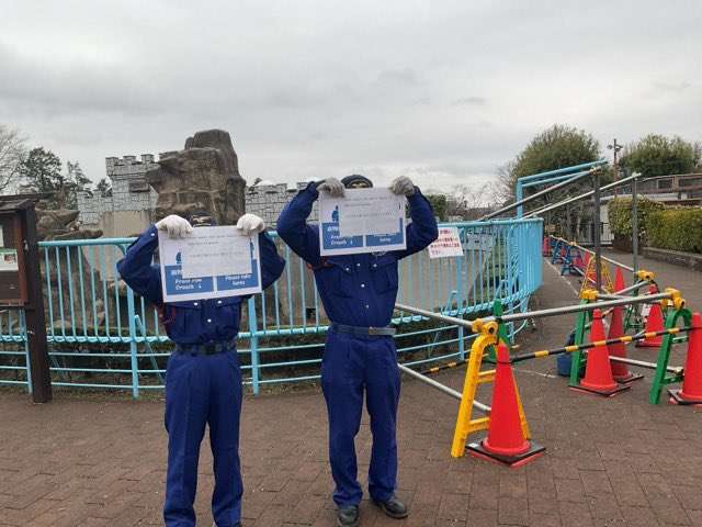 子ザルの「パンチ」がようやく群れになじむ、ぬいぐるみに頼る機会も減る 千葉県