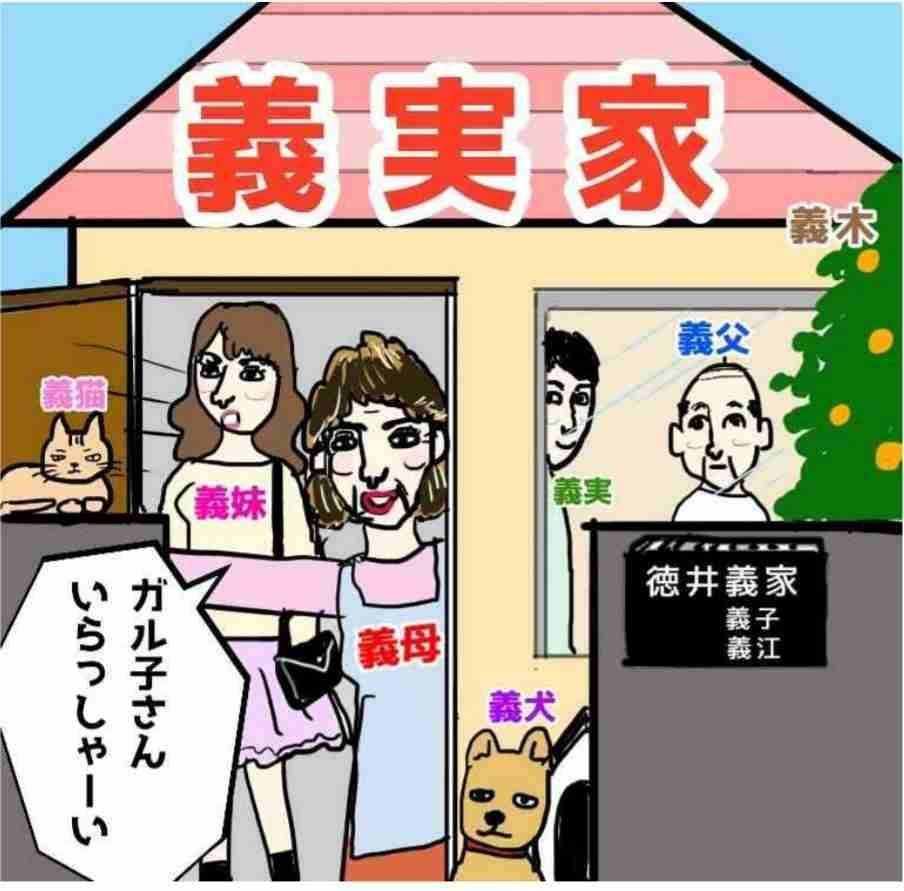義実家に行きたくないor行かなくなったを書くトピ