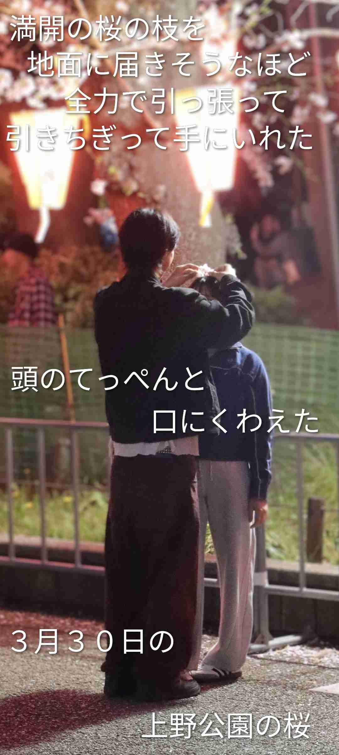 桜まつり中止でも観光客殺到 迷惑行為に住民疲弊「注意しても無駄」 山梨・富士吉田市