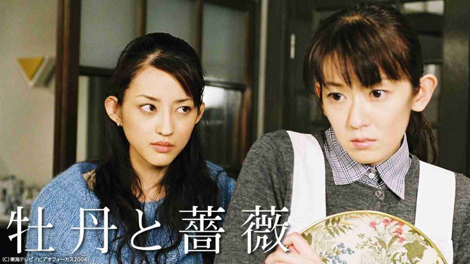 昼ドラで好きだったヒロイン