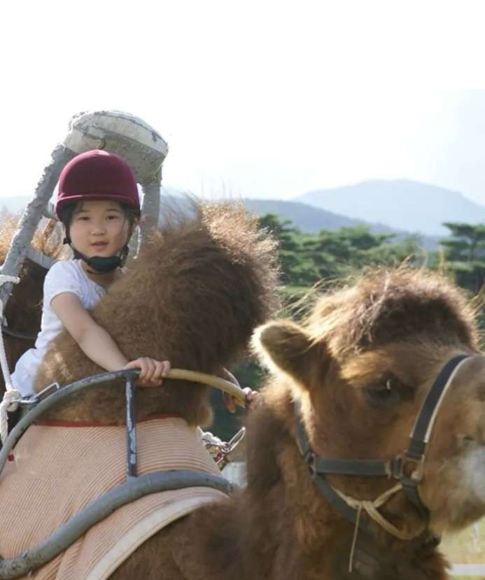 結婚後の婚約指輪