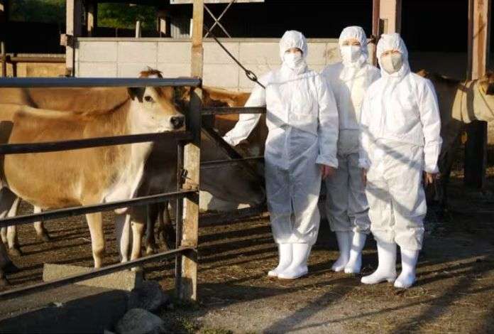 結婚後の婚約指輪