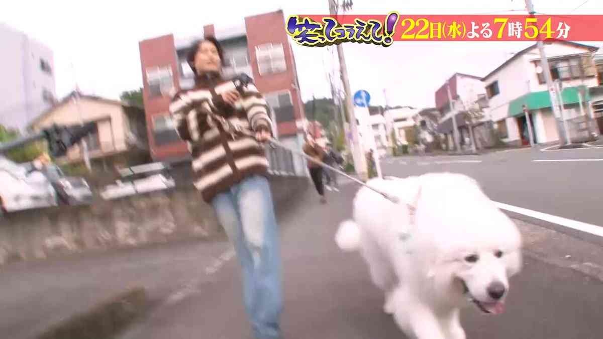 松村北斗、イベントで見せた“げっそり”表情に心配殺到「10公演」続くアイドル業のなか「ドラマ主演」報道まで