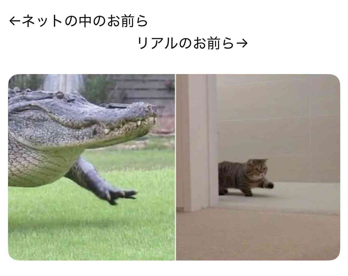 ガルちゃんでよく見かけるけど、疑問に思っていること part8