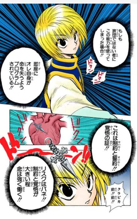 【どうしてる？】家の中の蜘蛛の扱い