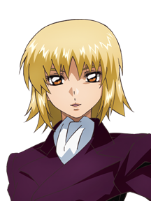二次元キャラの好き嫌い調査