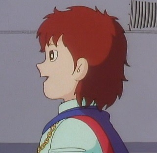 二次元キャラの好き嫌い調査