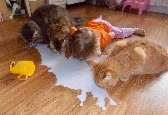 思わずヤバい！と言ってしまいそうになるトピ