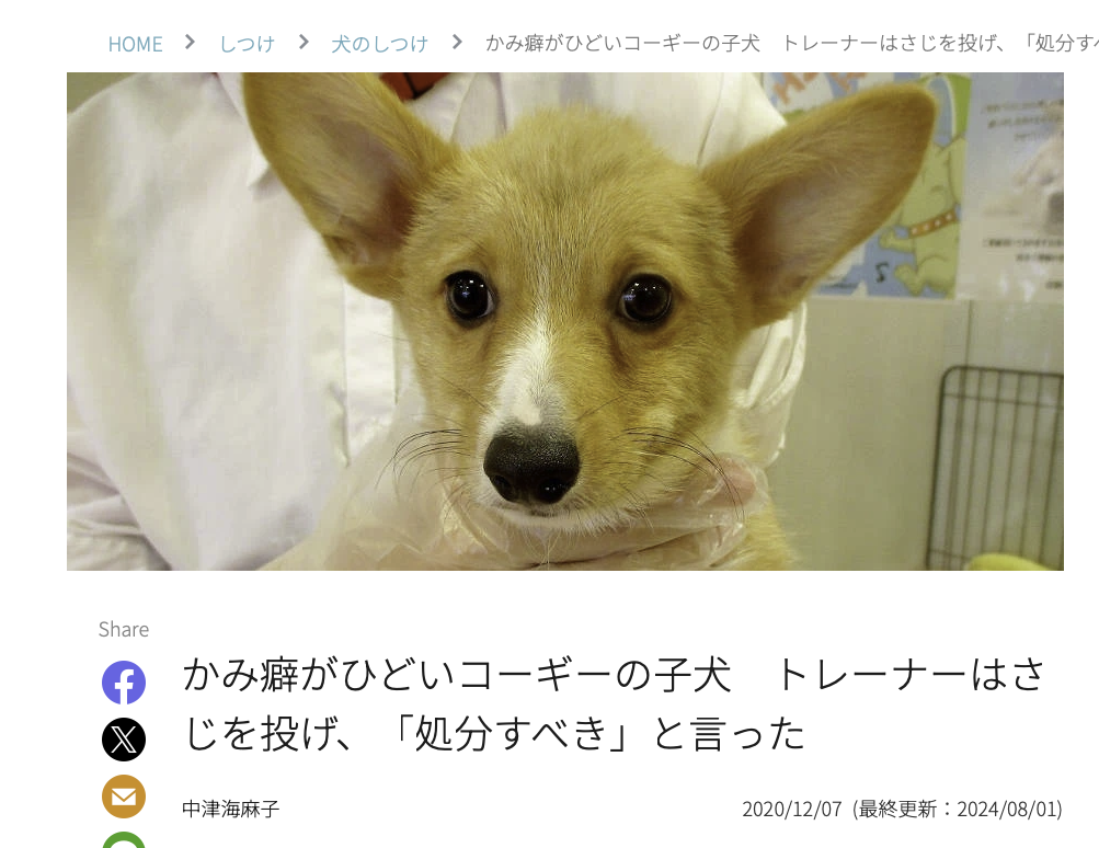 「ペットにしたい大型犬」ランキング　3位「ラブラドールレトリバー」2位「シベリアンハスキー」…1位は？