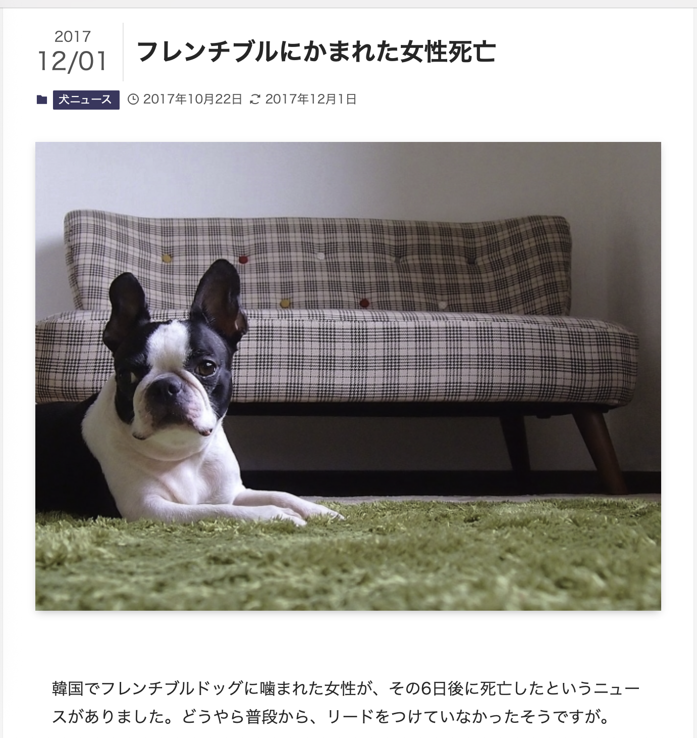 「ペットにしたい大型犬」ランキング　3位「ラブラドールレトリバー」2位「シベリアンハスキー」…1位は？