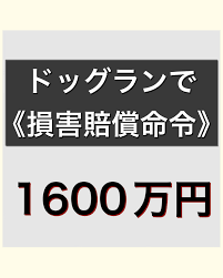 「ペットにしたい大型犬」ランキング　3位「ラブラドールレトリバー」2位「シベリアンハスキー」…1位は？