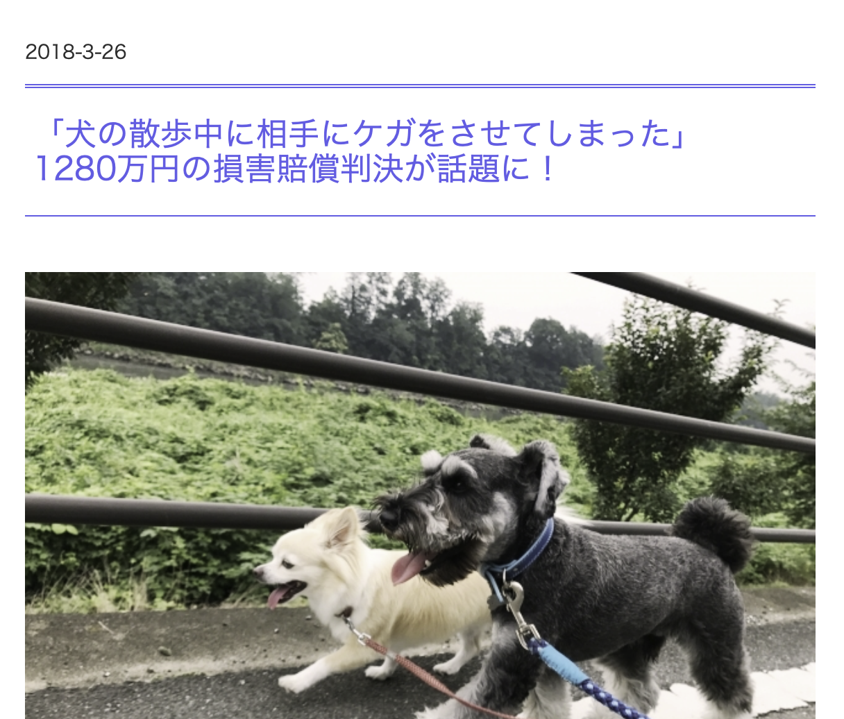 「ペットにしたい大型犬」ランキング　3位「ラブラドールレトリバー」2位「シベリアンハスキー」…1位は？