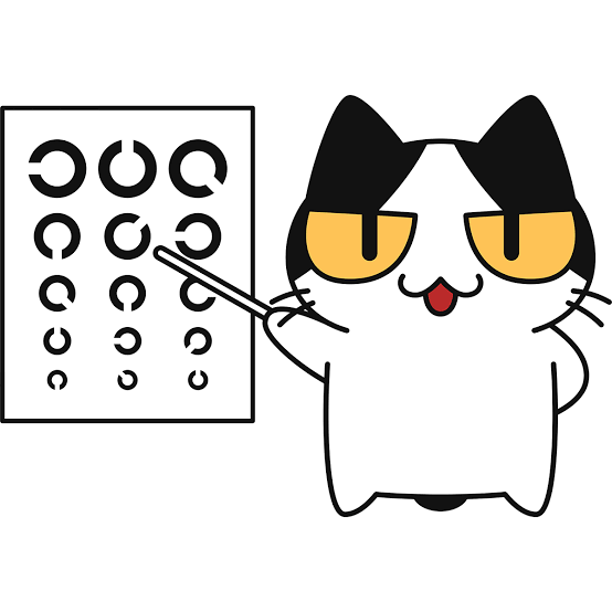 視力回復手術を検討している人