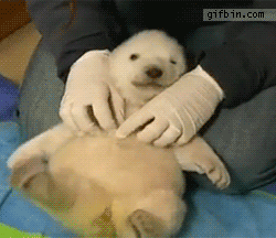がるちゃん動物園