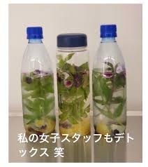 ハイヒール・モモコ、手作り弁当4つ披露 白米・赤飯・スパゲティなどぎっしり「ボリューム満点」「食べ応えありそう」と反響