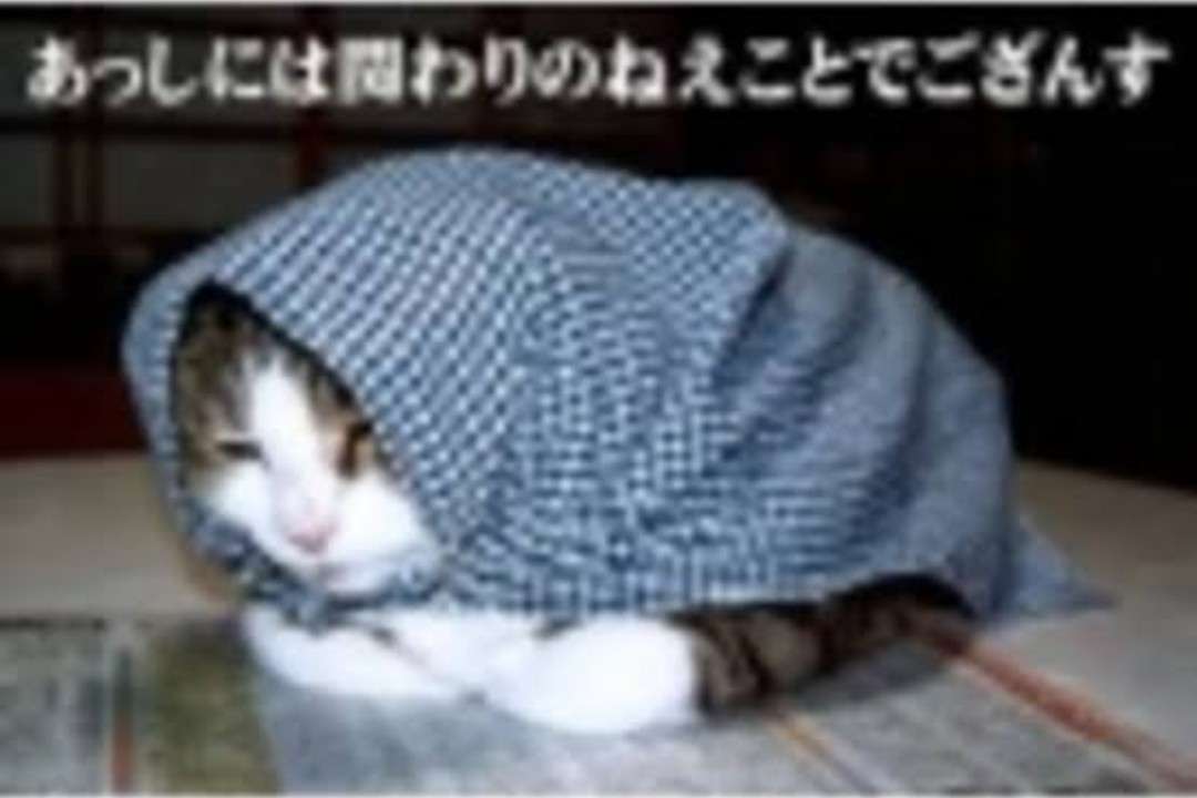 【求む】スルースキル【ネタ可】